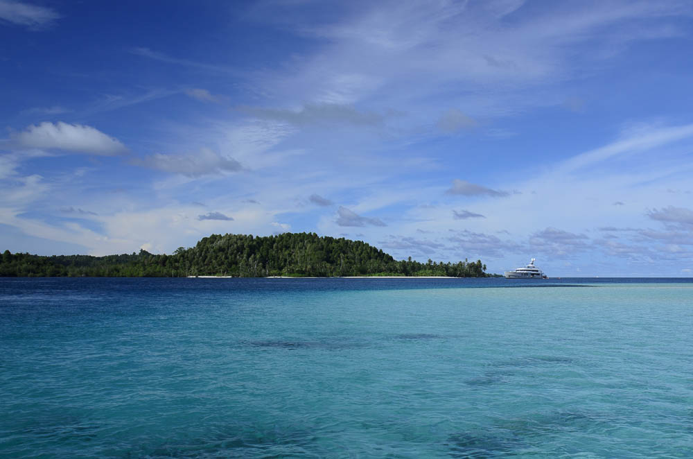 mentawais