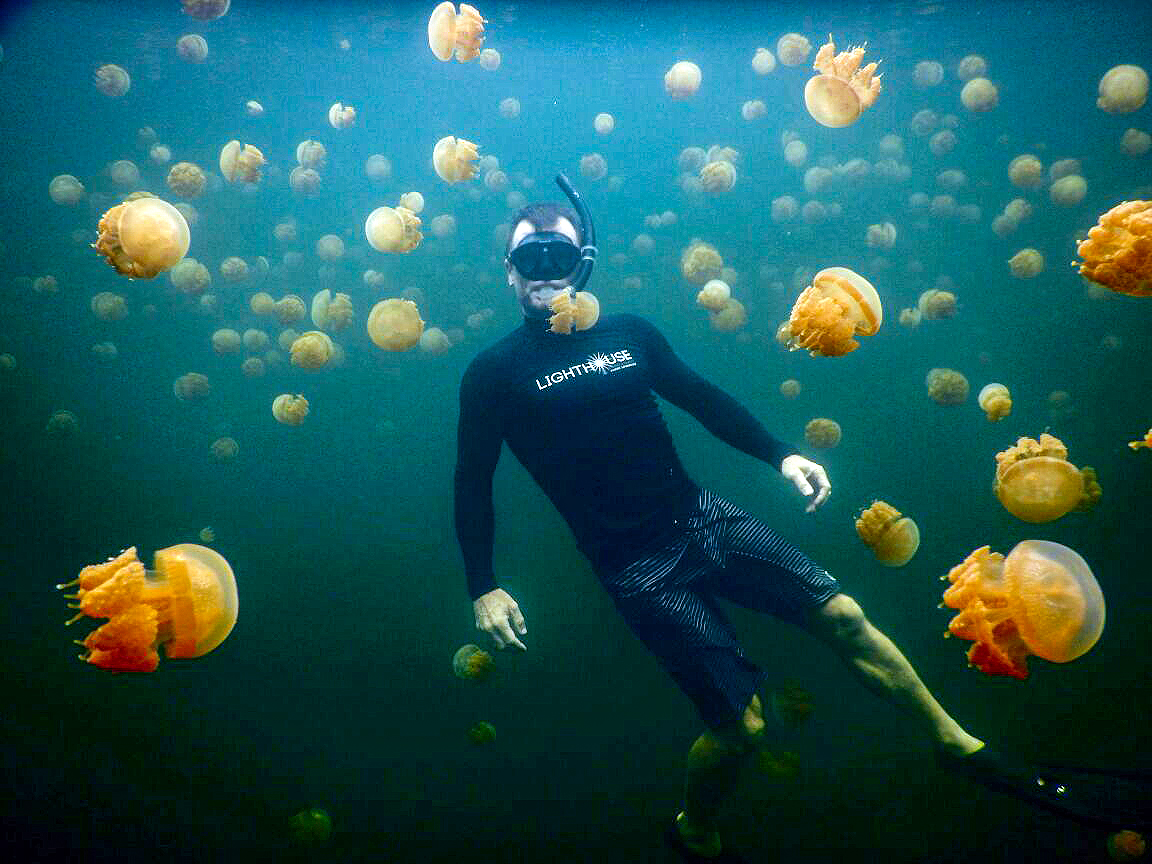 swimming-among-golden-jellyfish