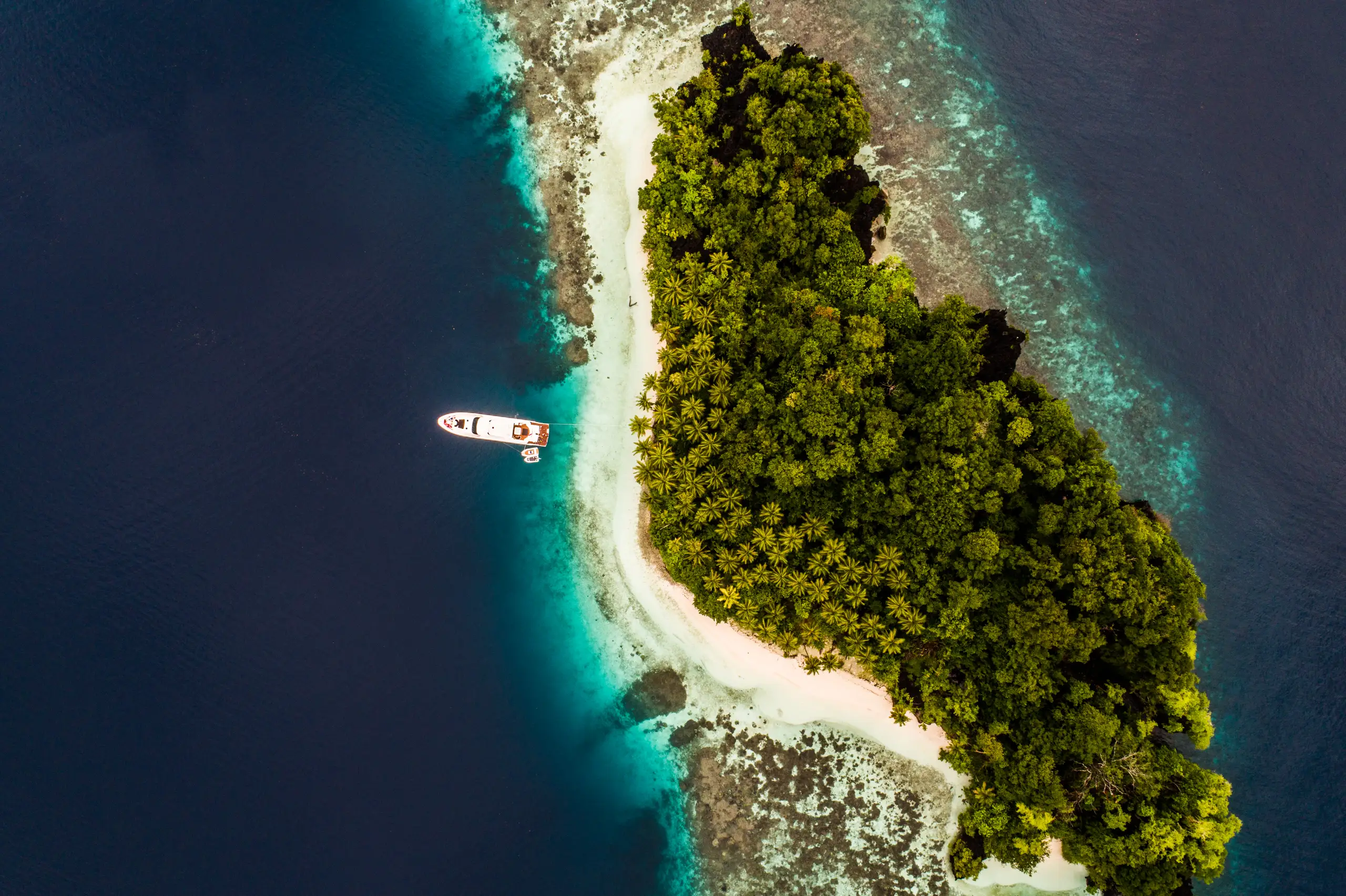 paradice-vertical-wofo-island-raja-ampat-skyflow-creations